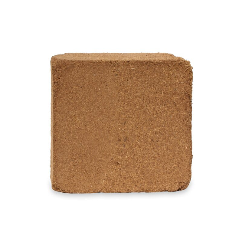 UGro Rhizza Kokosblock