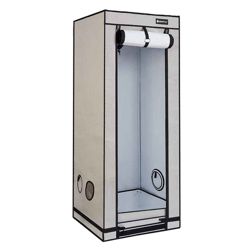 HomeBox Ambient Q60+ Plus