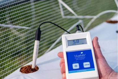 Bluelab Multimedia pH-Meter