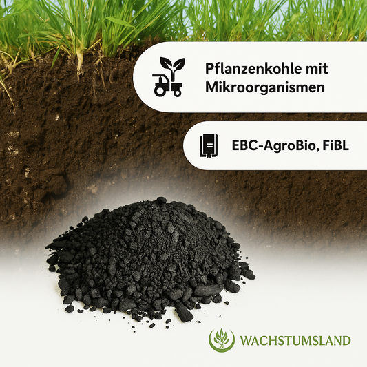 Aktivierte Pflanzenkohle