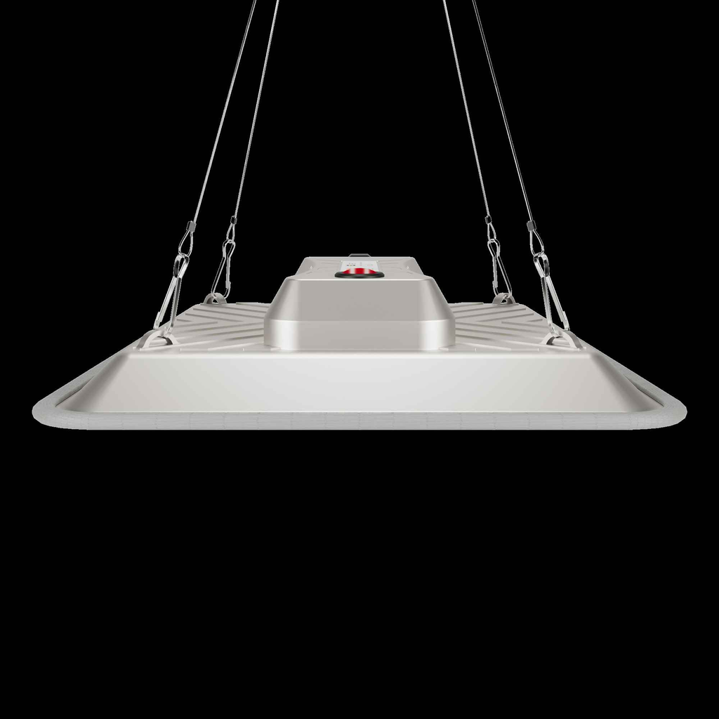 GC-PURE 80W