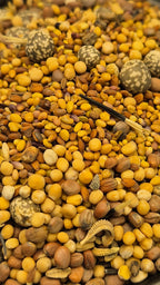 Wachstumsland Cover Crop Mix