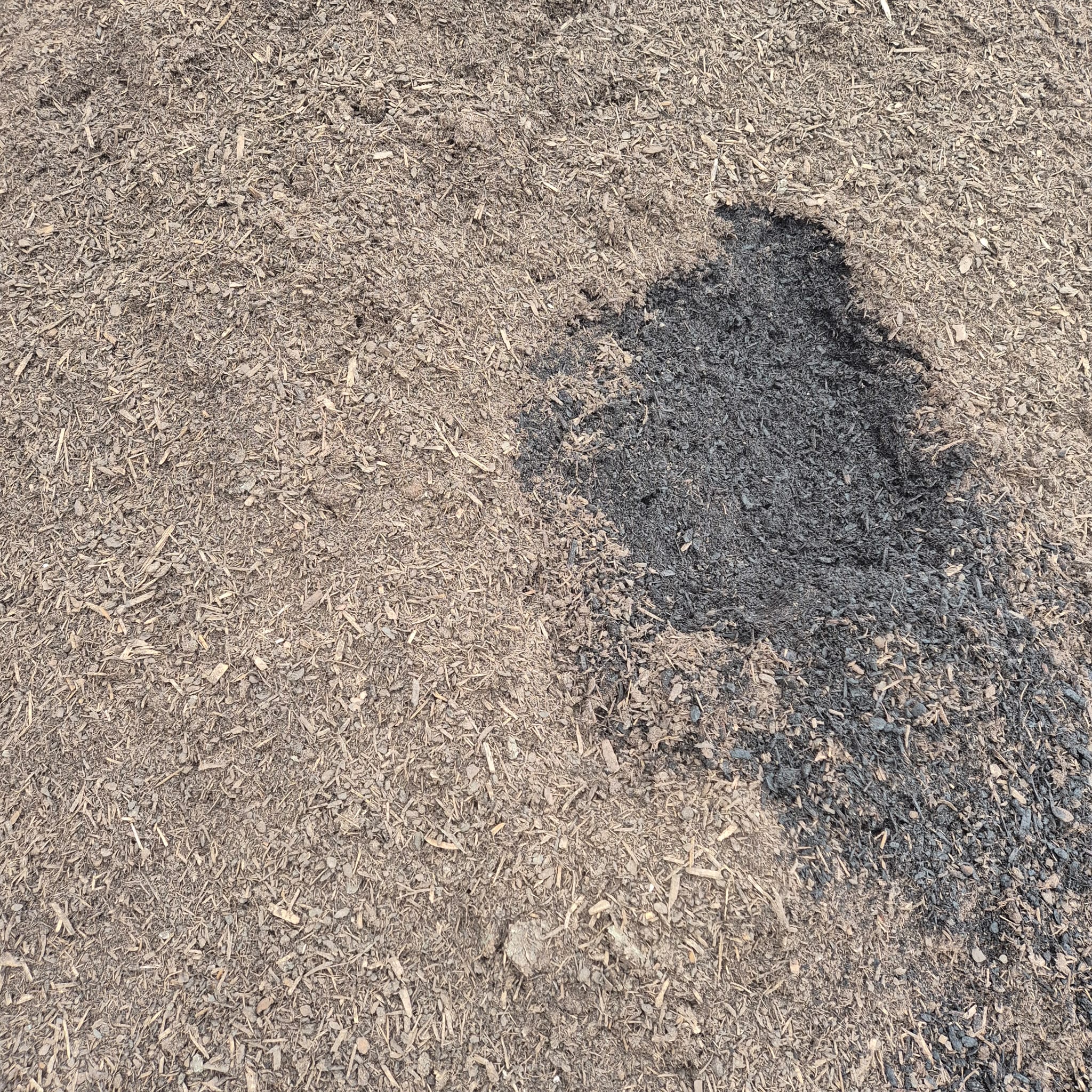 Wachstumsland Rindenhumus – Profi-Qualität (0–10 mm Siebung)